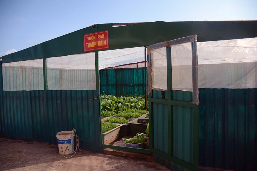 Bất chấp nắng gió, mưa bão khắc nghiệt nơi đảo xa, những luống rau xanh do chính bàn tay các cán bộ, chiến sĩ tại Đảo Đá Tây A chăm bón cho thu hoạch cao, cải thiện bữa ăn, tăng chất dinh dưỡng cho bộ đội.